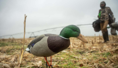 Hardcore Waterfowl Launches Single Sample Decoy Program For Hunters