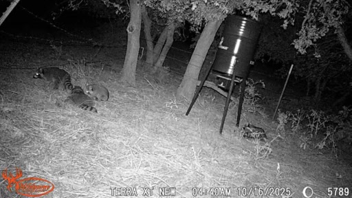 Tested True: Megatoad Outdoors 55m1 Deer Feeder