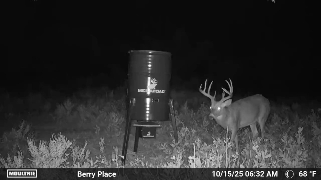 Tested True: Megatoad Outdoors 55m1 Deer Feeder