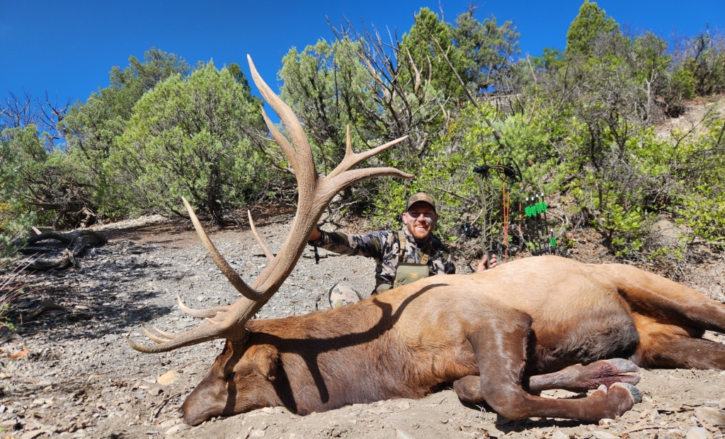 Fast & Furious Elk