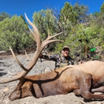 Fast & Furious Elk
