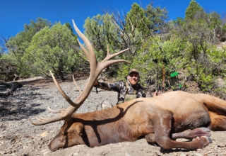 Fast & Furious Elk