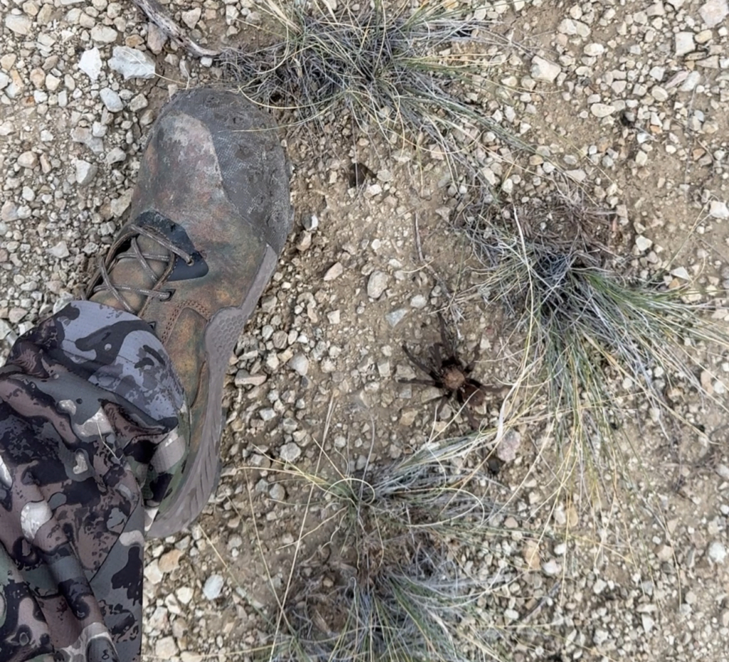 Tested: Irish Setter Vaprtrek Uninsulated