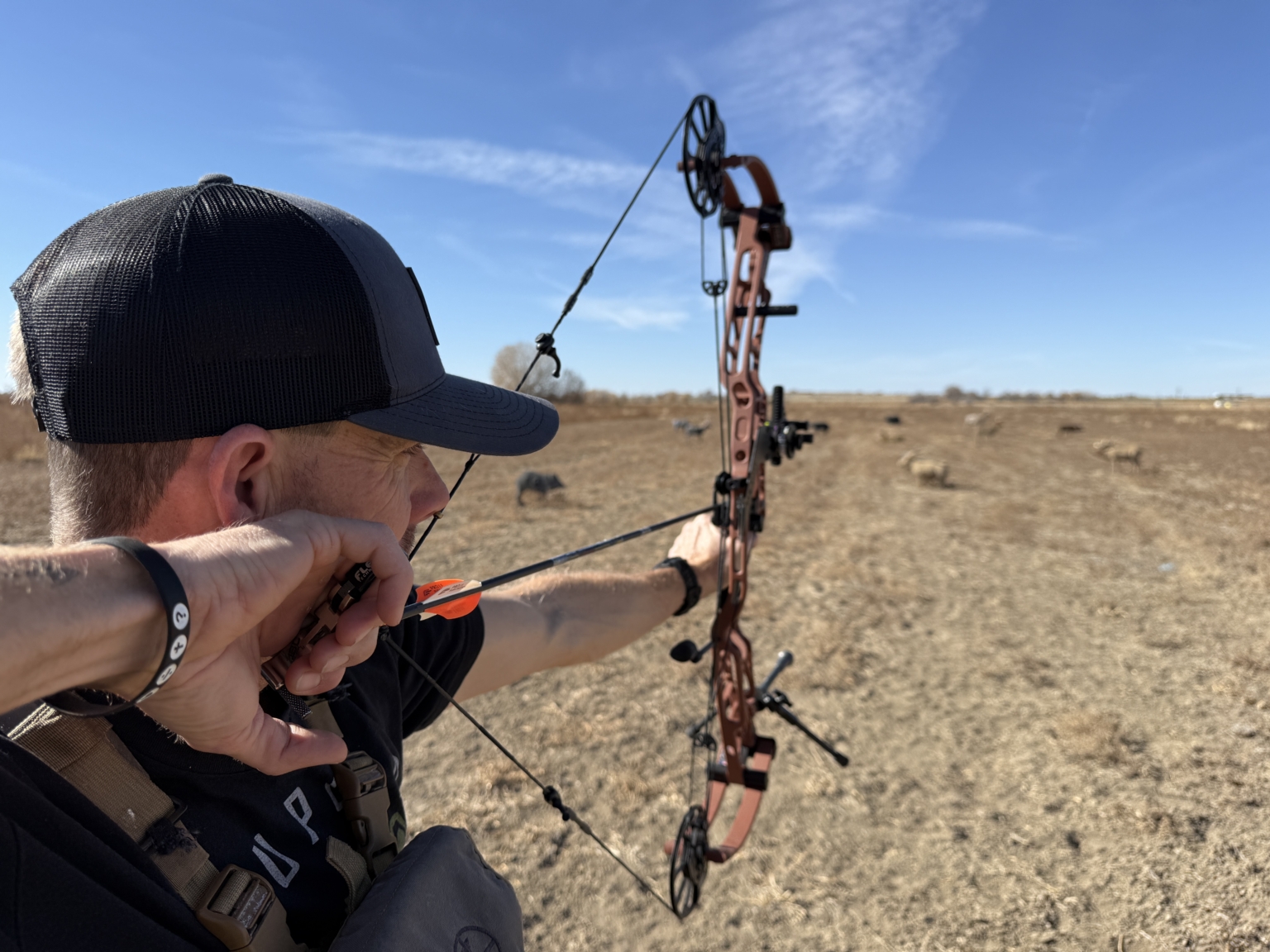 Tested True: Hoyt AX-3 33 - Born Hunting