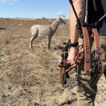 Tested True: Hoyt Ax 3 33