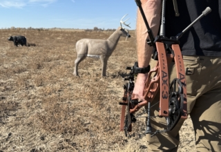 Tested True: Hoyt Ax 3 33