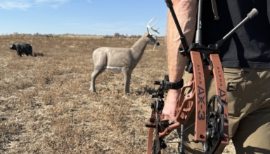 Tested True: Hoyt Ax 3 33