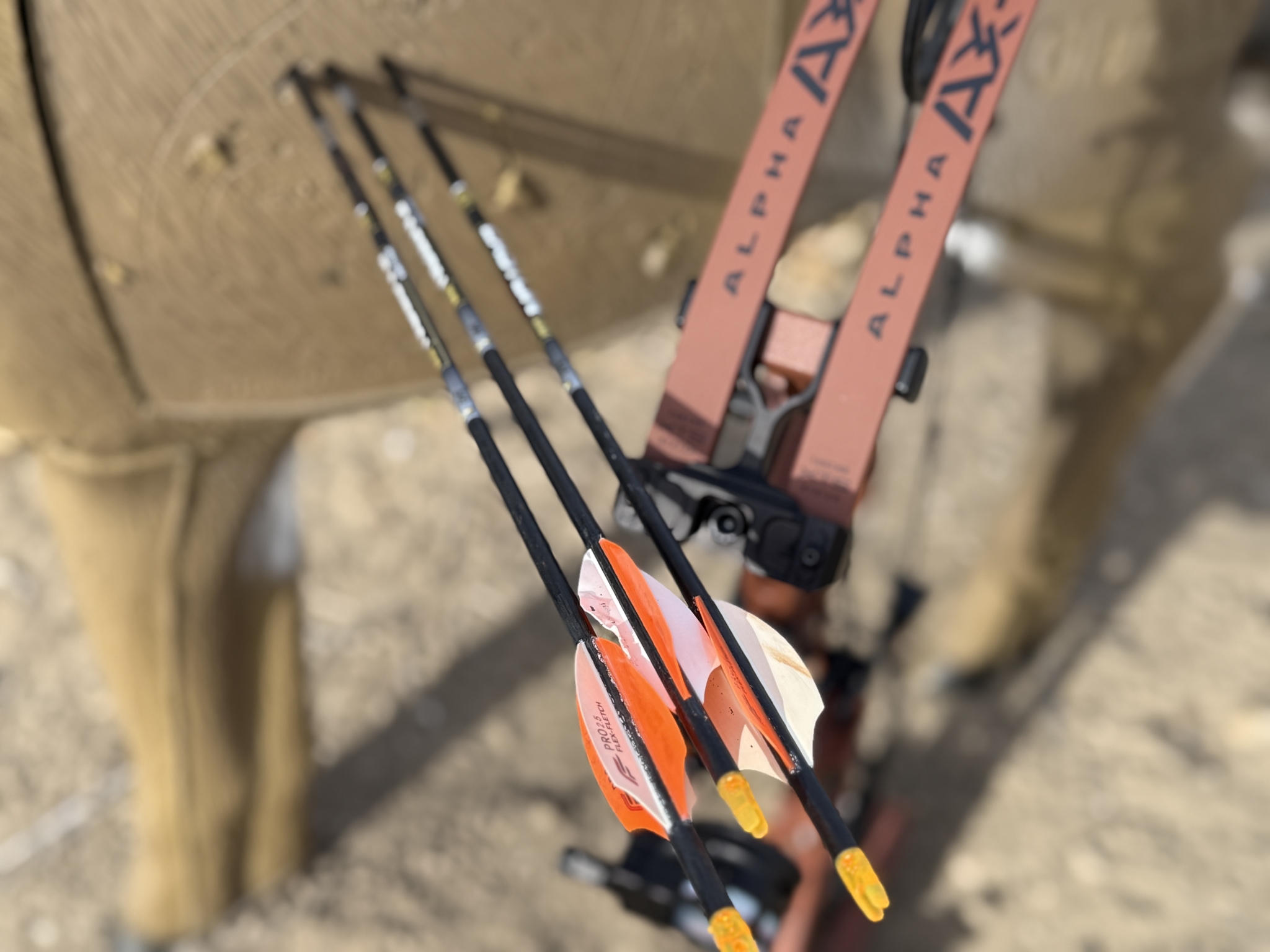 Tested True: Hoyt AX-3 33 - Born Hunting