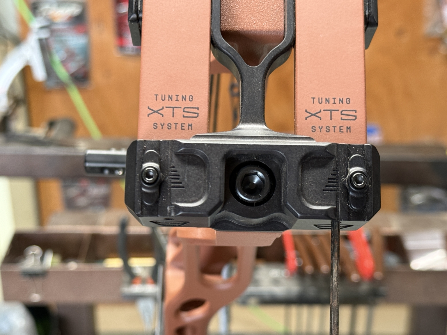 Tested True: Hoyt AX-3 33 - Born Hunting