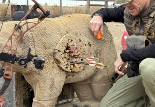 First Look: Easton Fmj Max