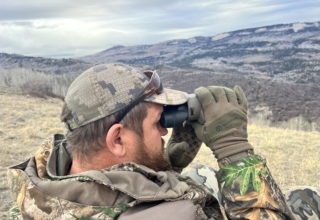 Sig Sauer Hdx 16x42 Versus Sig Sauer Zulu6 Hdx Pro 16x50