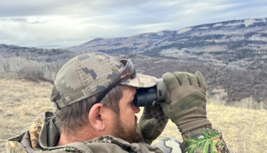 Sig Sauer Hdx 16x42 Versus Sig Sauer Zulu6 Hdx Pro 16x50