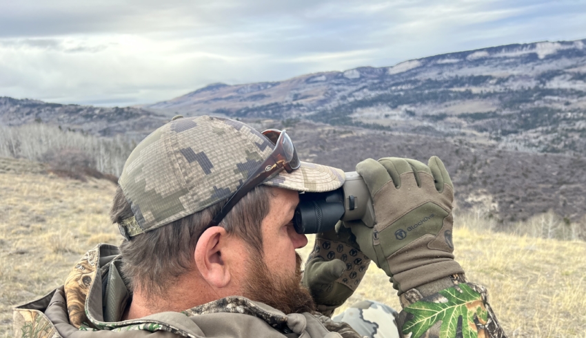 Sig Sauer Hdx 16x42 Versus Sig Sauer Zulu6 Hdx Pro 16x50