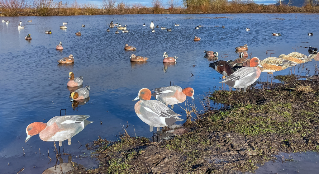 Waterfowl Gear You Need Right Now