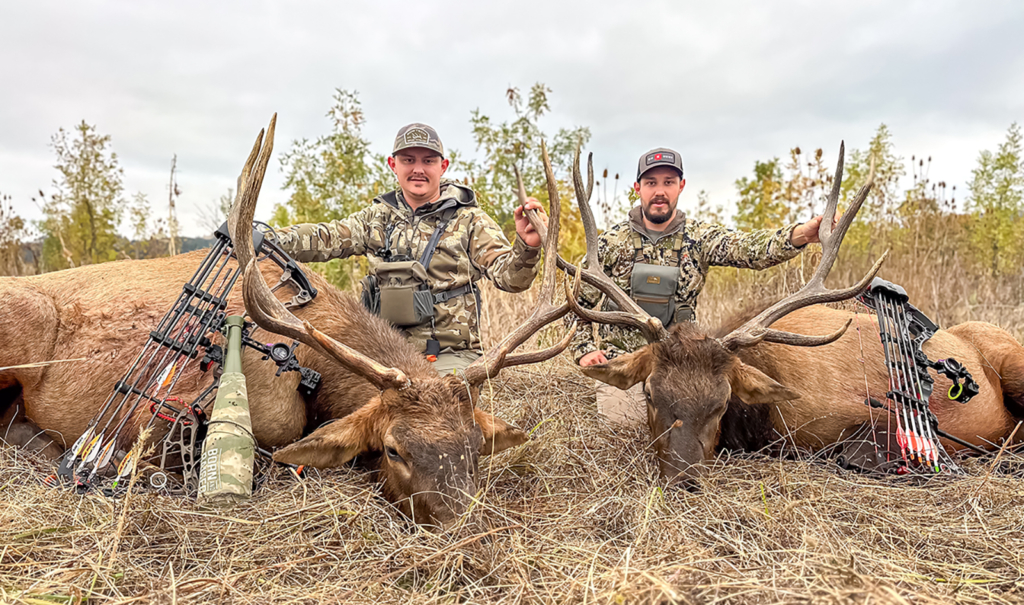 Ducks & Roosevelt Elk On The Valley Floor