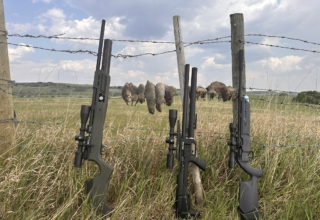 Freeze Gopher—the Rise Of Umarex Precision Airguns