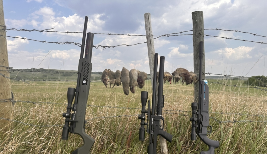 Freeze Gopher—the Rise Of Umarex Precision Airguns