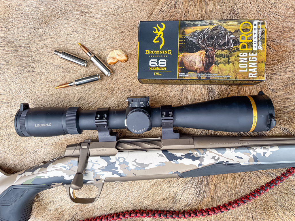 Ducks & Roosevelt Elk On The Valley Floor