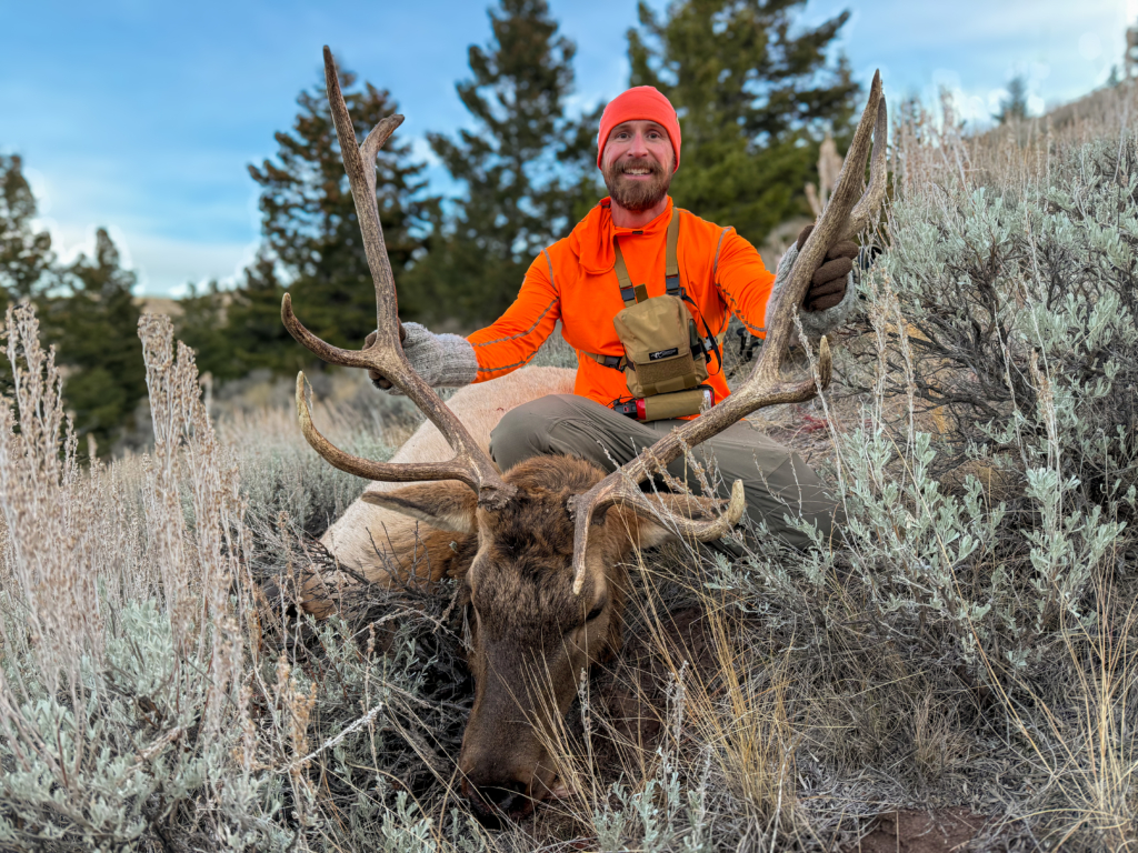 Hunting Elk On Pressured Public Land Three Bulls In Two Years