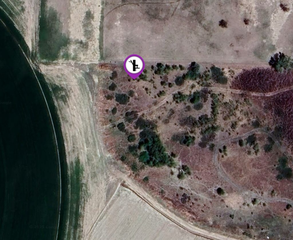 5 Late Season Whitetail Tips You Didn't Think Of