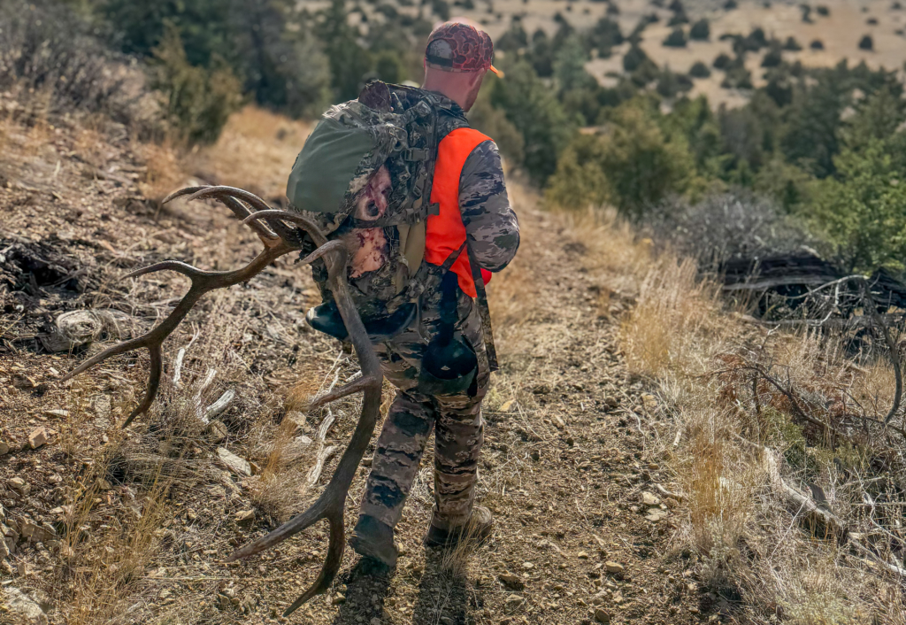 Hunting Elk On Pressured Public Land Three Bulls In Two Years