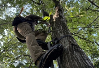 Three Products I'm Adding To My 2026 Hunt Gear List