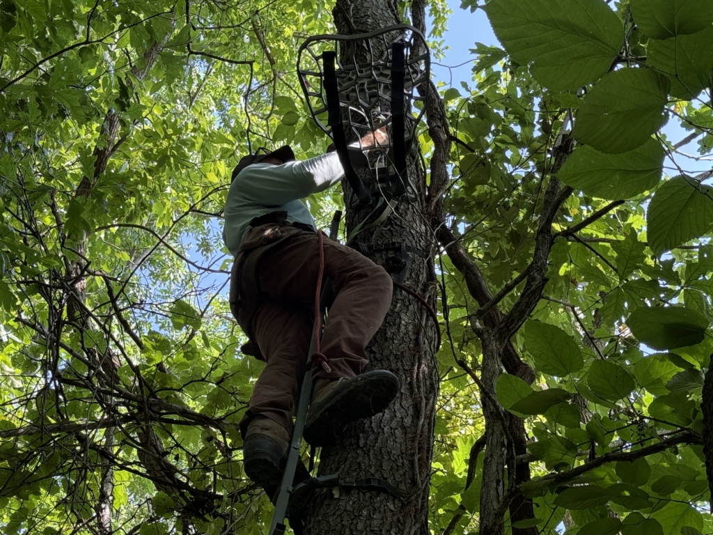 Three Products I'm Adding To My 2026 Hunt Gear List