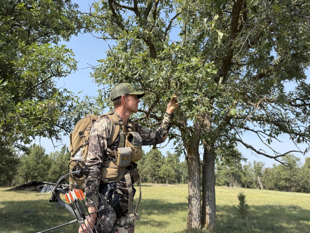 2025 Born Hunting Gear Excellence Awards