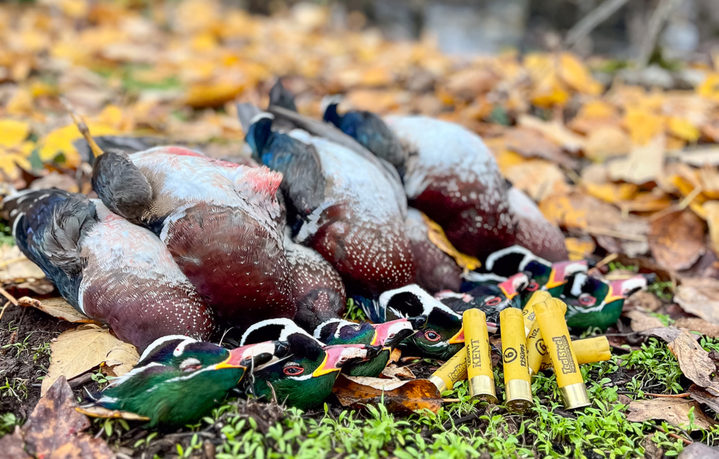 Waterfowl Gear You Need Right Now