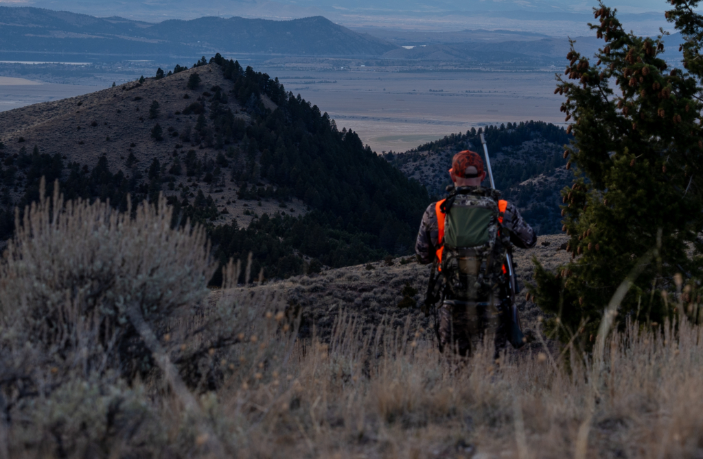 Hunting Elk On Pressured Public Land Three Bulls In Two Years