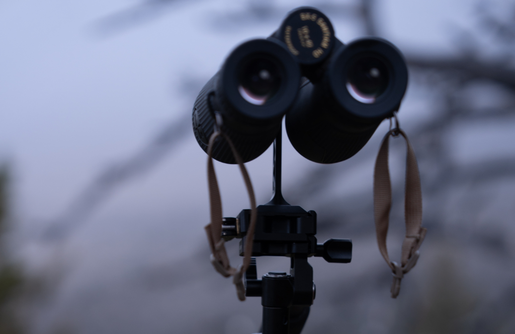 Hunting Elk On Pressured Public Land Three Bulls In Two Years