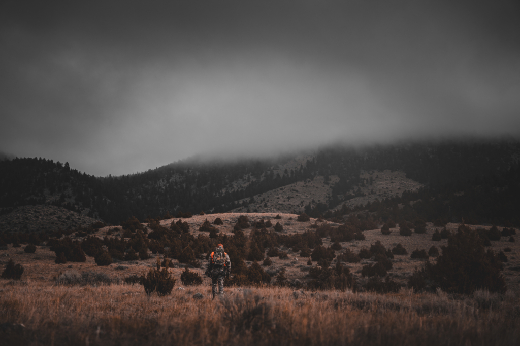 Hunting Elk On Pressured Public Land Three Bulls In Two Years