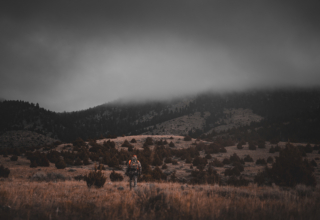 Hunting Elk On Pressured Public Land Three Bulls In Two Years