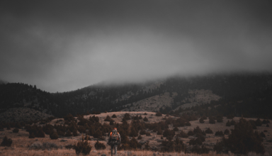 Hunting Elk On Pressured Public Land Three Bulls In Two Years