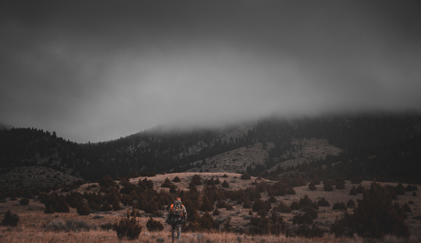 Hunting Elk On Pressured Public Land Three Bulls In Two Years