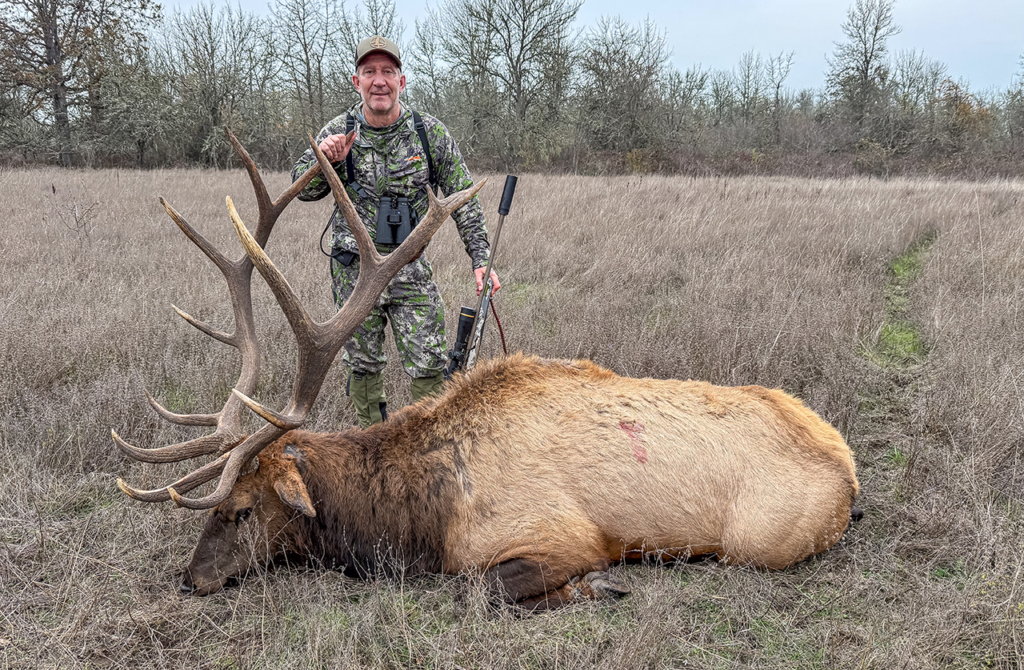 Ducks & Roosevelt Elk On The Valley Floor