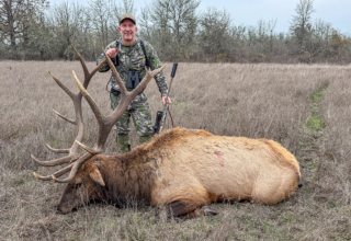 Ducks & Roosevelt Elk On The Valley Floor
