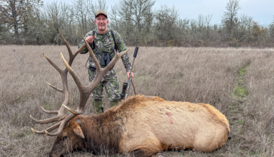 Ducks & Roosevelt Elk On The Valley Floor