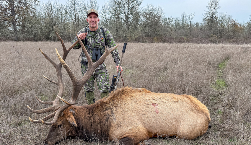 Ducks & Roosevelt Elk On The Valley Floor