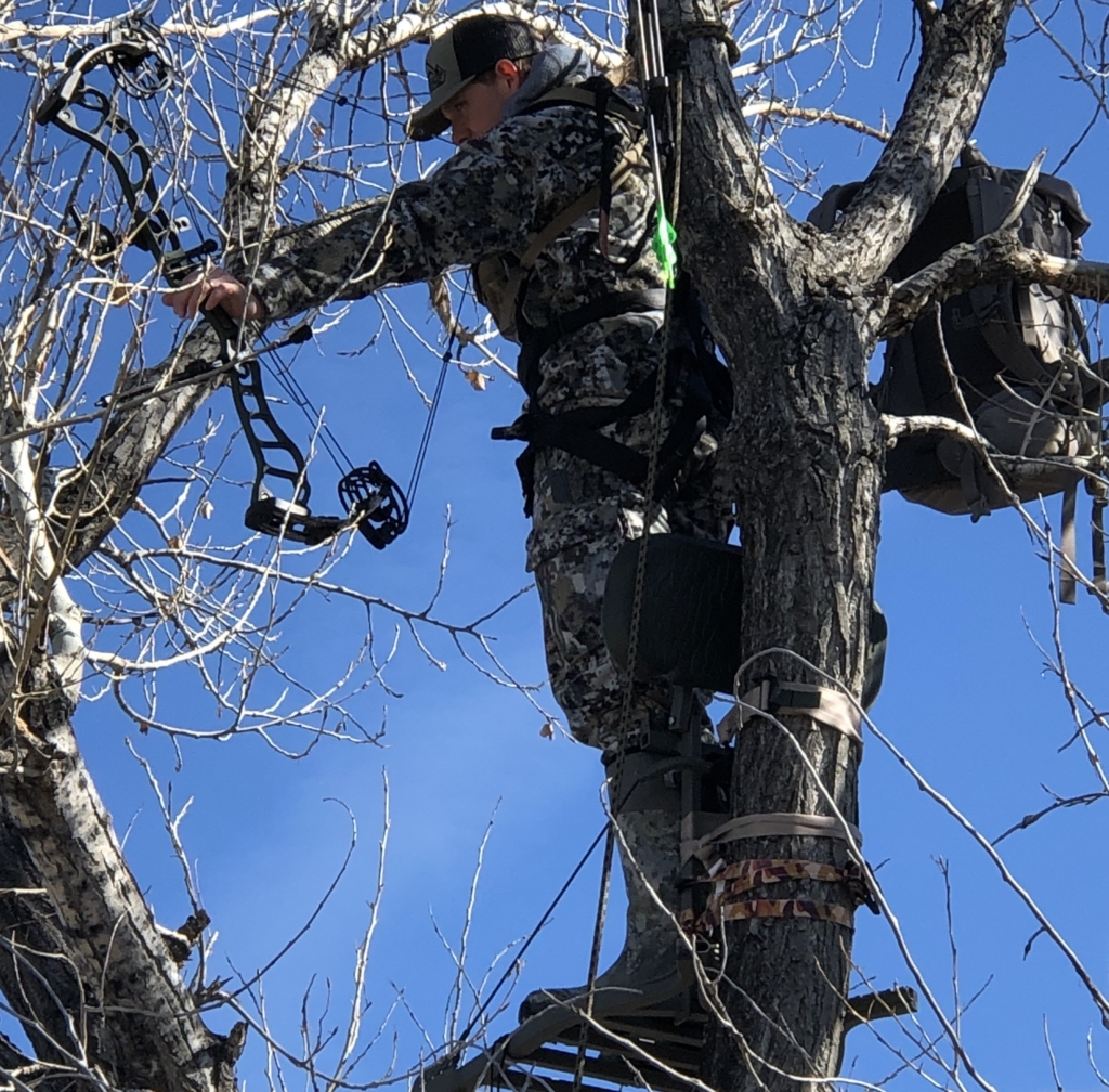 5 Late Season Whitetail Tips You Didn't Think Of