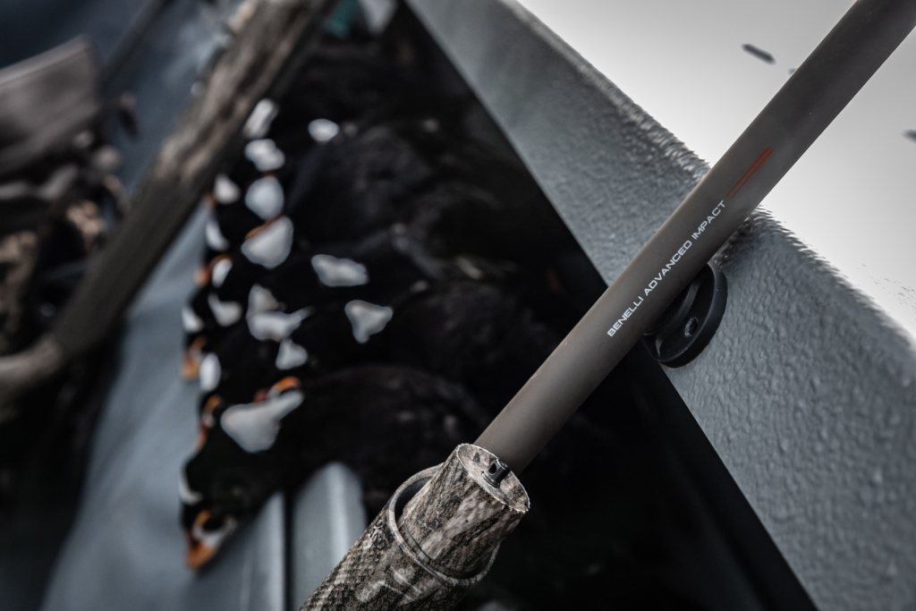 Hunting Surf Scoters In San Francisco Bay