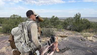 Two Questions About Hunting