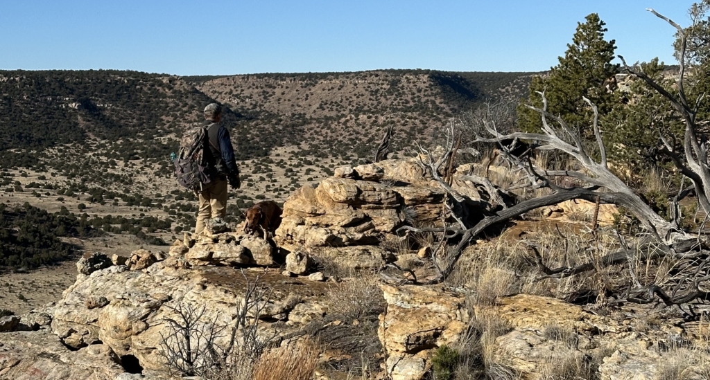 Why Now Is The Time To Book A Mountain Lion Hunt