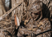 First Look: Avian X Ridge Runner X Turkey Vest