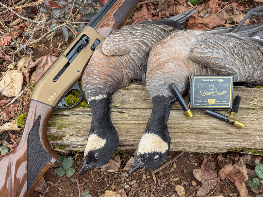 Tested True: Tristar Viper G2 .410 Bore