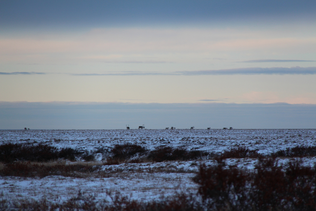 How Living A Subsistence Life In Alaska Made Me A Better Hunter