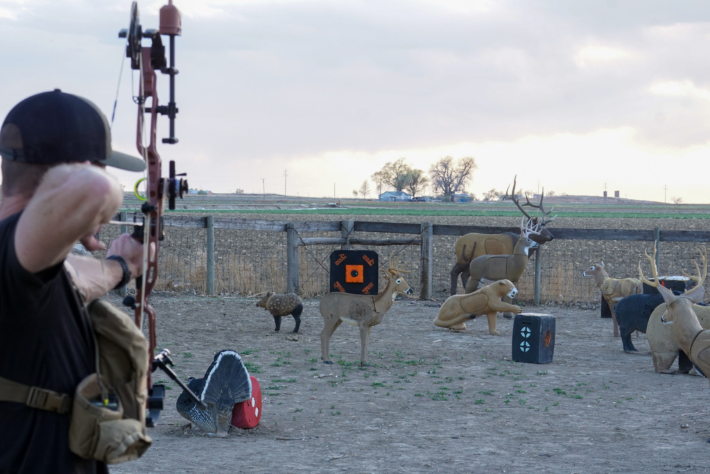 Tested True: Morrell Center Punch 35” With High Roller & Delta Mckenzie Predator 36” Target With Removable Core