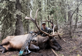 September Elk Dreams