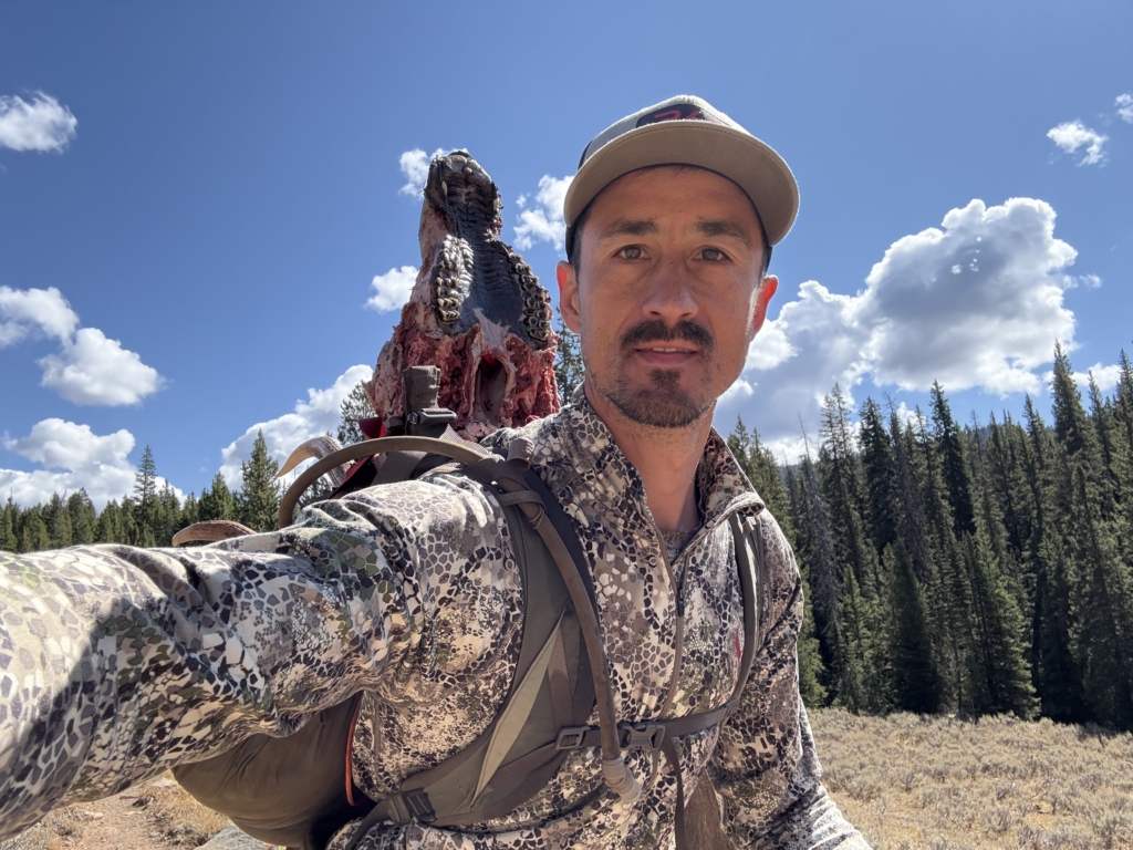 September Elk Dreams