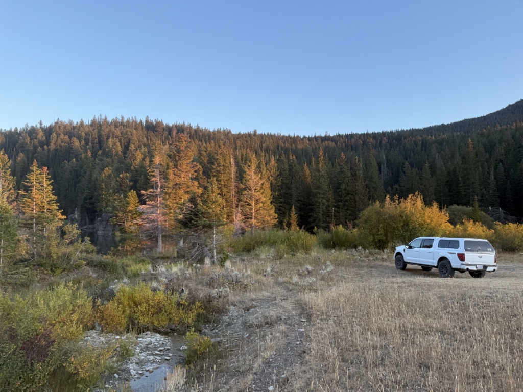 September Elk Dreams